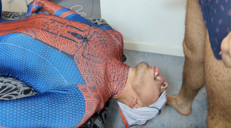 Spider Latino