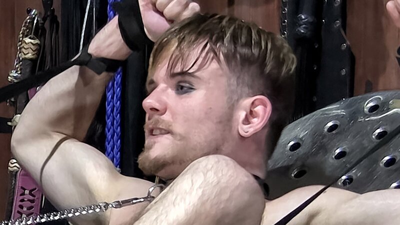 Axel Rodi gobbles AJ Valentino's cock in a BDSM session