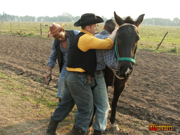 Twink gets hammered by big cowboy cocks