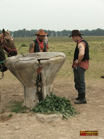 Guy taking black and white cowboys` cocks