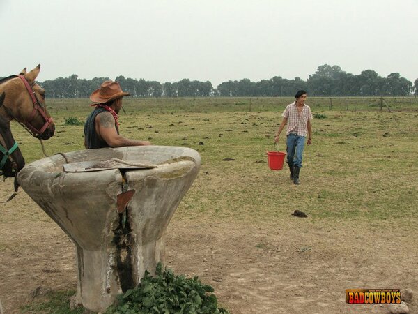 Guy taking black and white cowboys` cocks