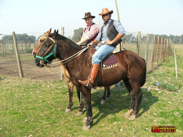 Guy tasting cowboys` dicks to the fullest