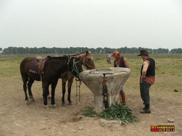 Horny gay cowboys rip boy's mouth